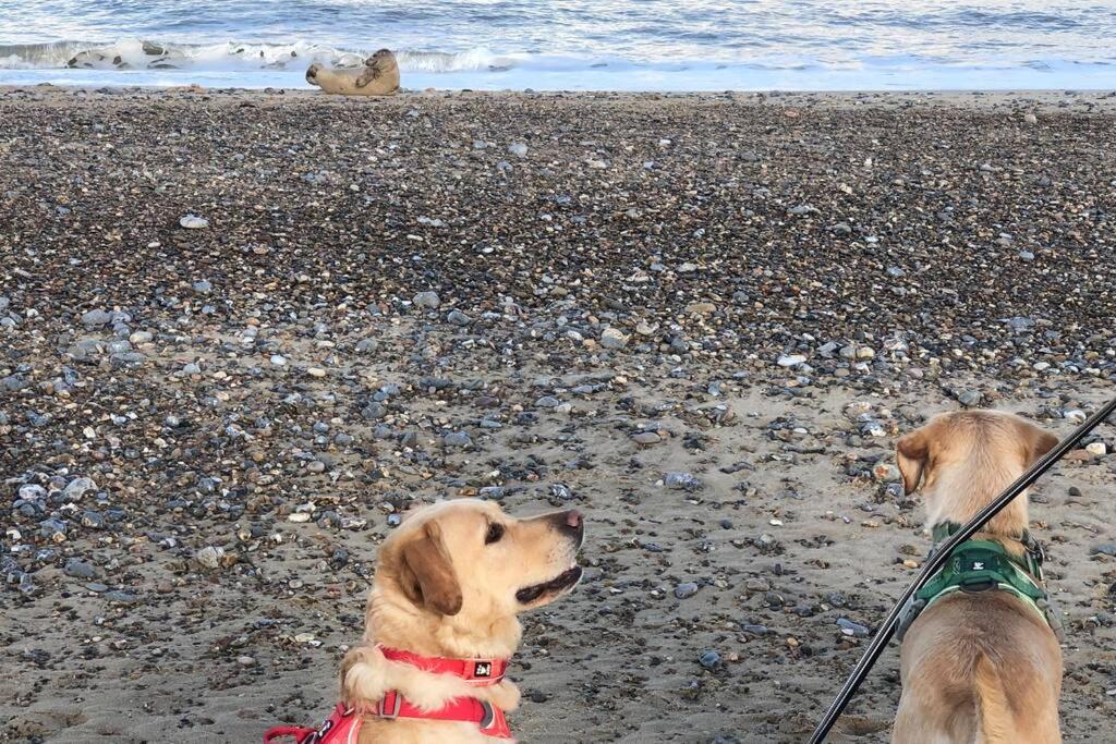 Dog Friendly Cottage 2 Mins To Beach With Hot Tub And Zappi Ev Lessingham Esterno foto